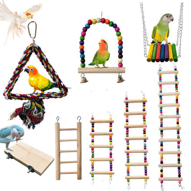 Wooden Bird Toys Small Parrot  - Gymnastic Ring Wood review and price