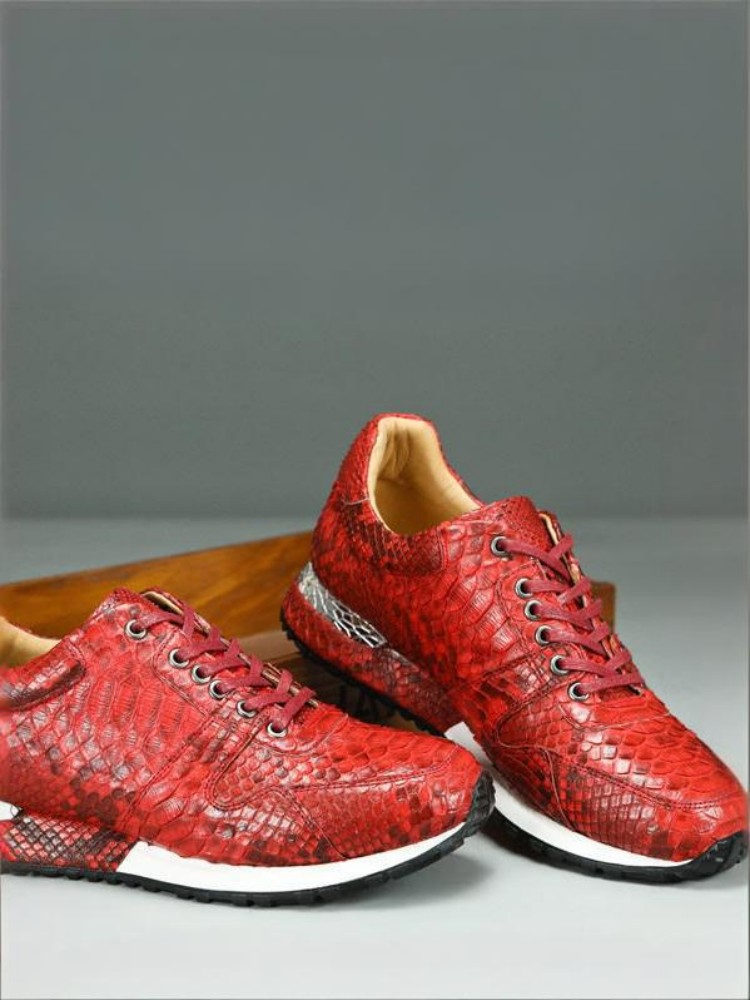 Concise Solid Color Snakeskin  - Crossfit Male review and price