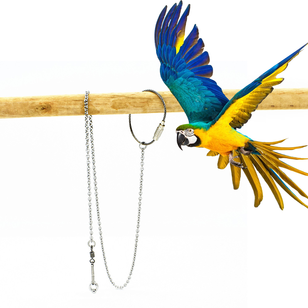 1Pcs Pet Parrot Leg Ring Ankle - Gymnastic Ring Wood review and price