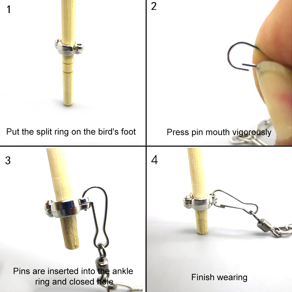 1Pcs Pet Parrot Leg Ring Ankle - Gymnastic Ring Wood review and price